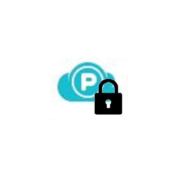 Abonnement 1 an pCloud Encryption